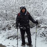 snow, Kolakchal