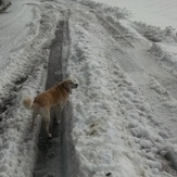 Road up to marys peak parking lot