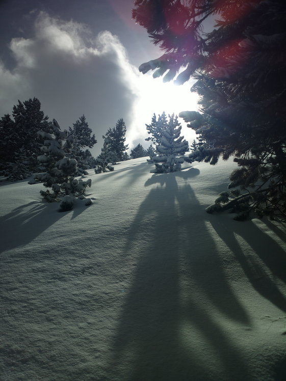 Mount Olympos-photo of path, Mount Olympus