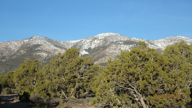 Grafton view from the east, Mount Grafton