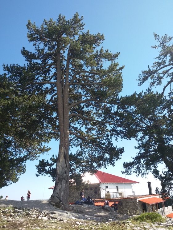 rockstruga refuge, Mount Olympus