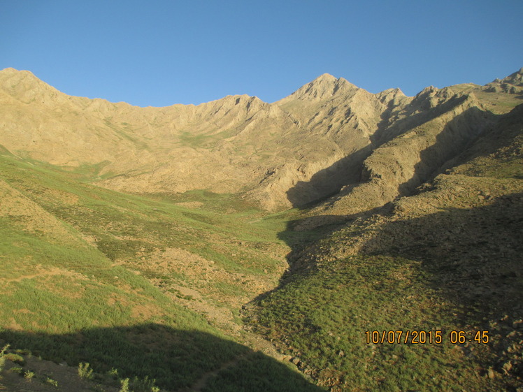 Sahankouh