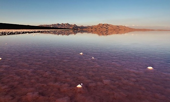 Naser Ramezani Ormieh Lake, Shaho