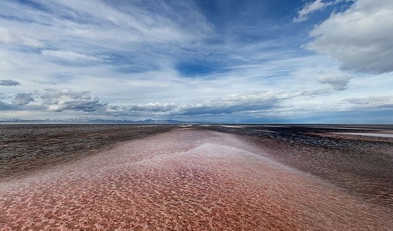 Naser Ramezani Ormieh Lake, Shaho