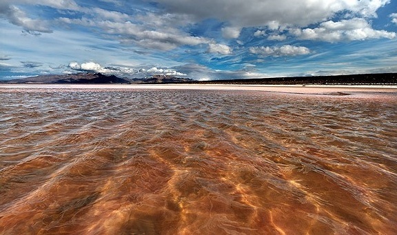 Naser Ramezani Ormieh Lake, Shaho