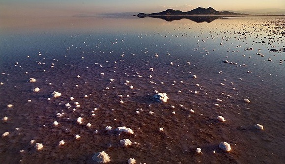 Naser Ramezani Ormieh Lake, Shaho