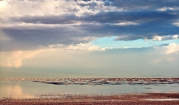 Naser Ramezani Ormieh Lake, Shaho