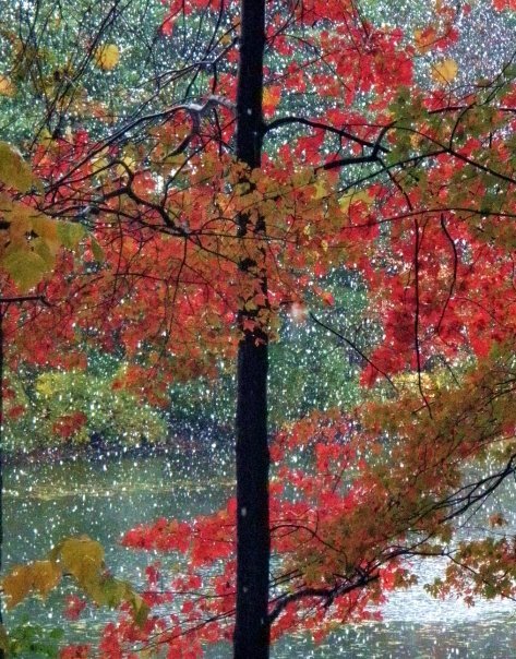 Weston Peak weather