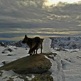 Cumbre del Calvitero