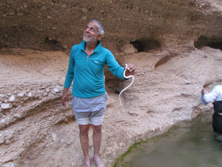 naser ramezani Tabas gen valley, Mount Binalud