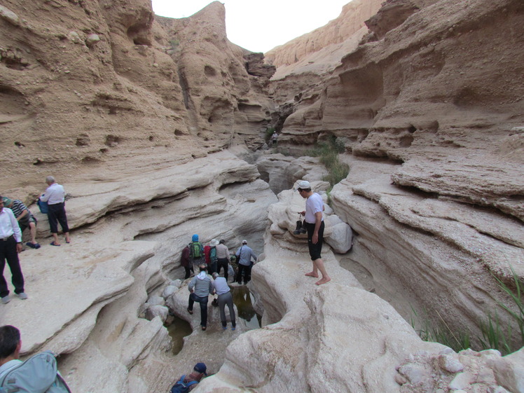 naser ramezani Tabas gen valley, Mount Binalud