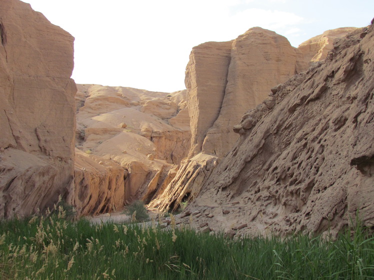 naser ramezani Tabas gen valley, Mount Binalud