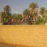 naser ramezani shahdad region, Hazaran