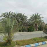 naser ramezani shahdad region, Hazaran