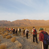 naser ramezani nayband protected area, Mount Binalud