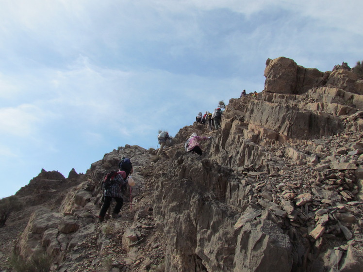 naser ramezani nayband protected area, Mount Binalud