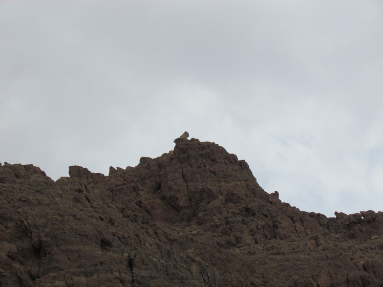 naser ramezaninayband protected area, Mount Binalud