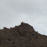 naser ramezaninayband protected area, Mount Binalud