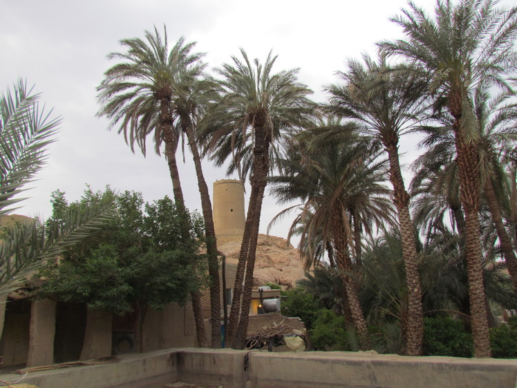 naser ramezani naayband village, Mount Binalud