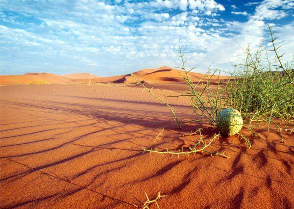 naser ramezani Loot desert, Bazman