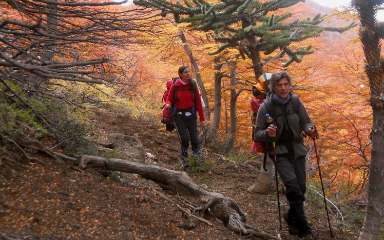 trekking en otoño, Volcan Lanin