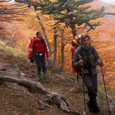 trekking en otoño, Volcan Lanin