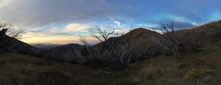 Feathertop Distant, Mount Feathertop