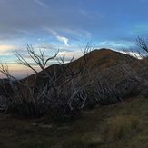 Feathertop Distant, Mount Feathertop