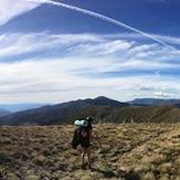 Razorback to Summit, Mount Feathertop