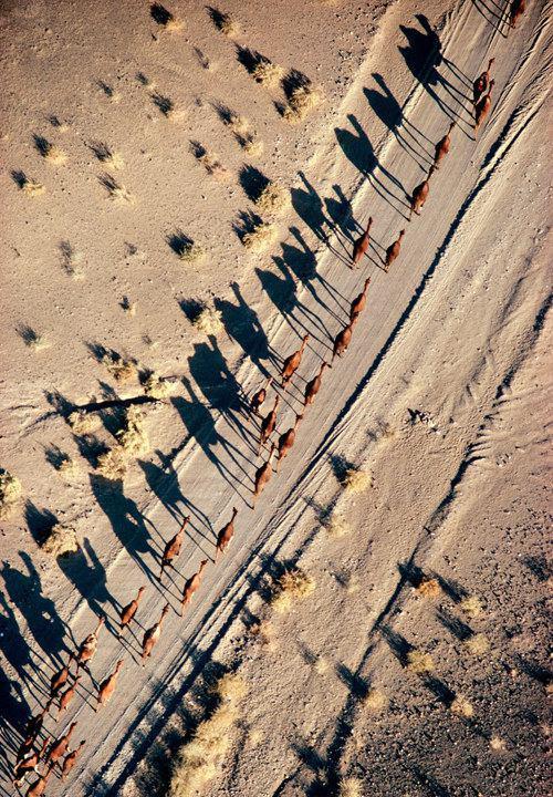 naser ramezani Loot desert, Bazman