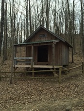 Birch Knob Shelter on Pine Mountain Trail, Pine Mountain (Appalachian Mountains) photo