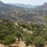 naser ramezani Tamoradi canyon, Dena