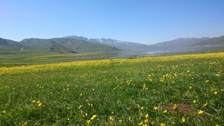 naser ramezani laar protected area, Damavand (دماوند)