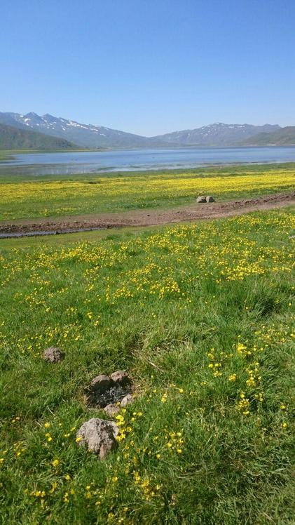 naser ramezani laar protected area, Damavand (دماوند)