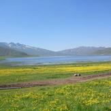 naser ramezani laar protected area, Damavand (دماوند)