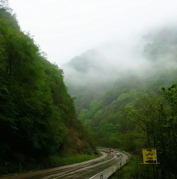 Naser Ramezani Savadkouh Forest, Damavand (دماوند)