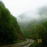 Naser Ramezani Savadkouh Forest, Damavand (دماوند)