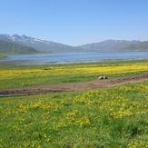 Laar protected area, Naser Ramezani, Damavand (دماوند)