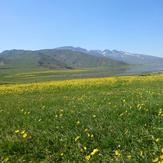 Laar protected area, Naser Ramezani, Damavand (دماوند)