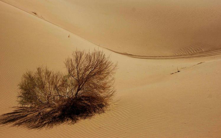 Naser Ramezani Mesr Desert, Karkas