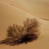 Naser Ramezani Mesr Desert, Karkas