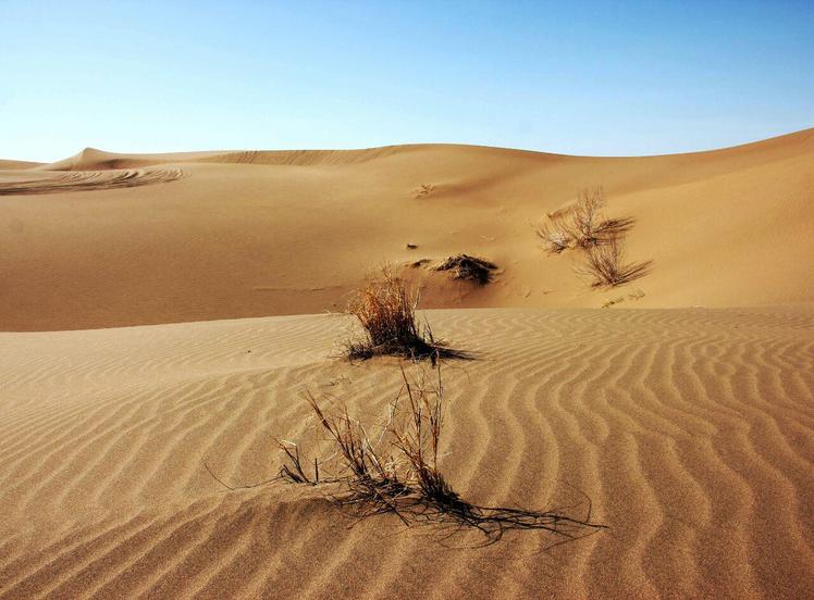 Naser Ramezani Mesr Desert, Karkas