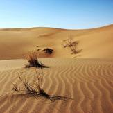 Naser Ramezani Mesr Desert, Karkas