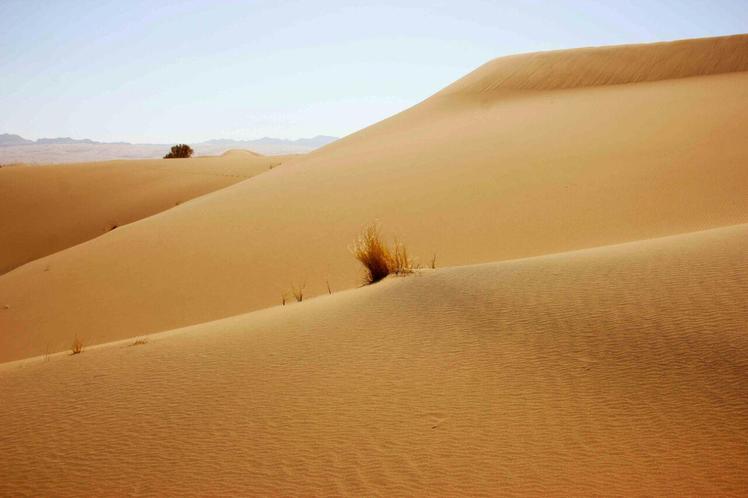 Naser Ramezani Mesr Desert, Karkas