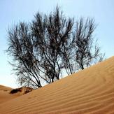 Naser Ramezani Mesr Desert, Karkas