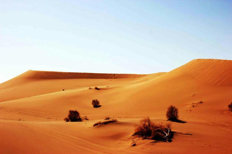 Naser Ramezani Mesr Desert, Karkas