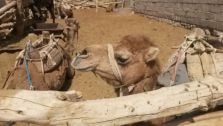 Naser Ramezani Mesr Desert, سبلان