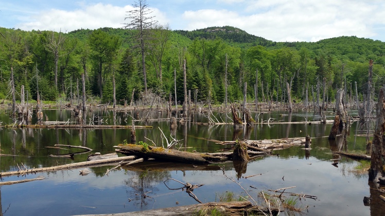 The pond and the summit of Van Hovenberg, Mount Van Hoevenberg