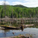 The pond and the summit of Van Hovenberg, Mount Van Hoevenberg