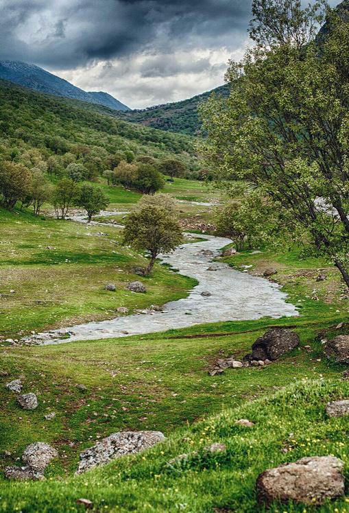 Naser Ramezani: Sepead Kouh, سن بران